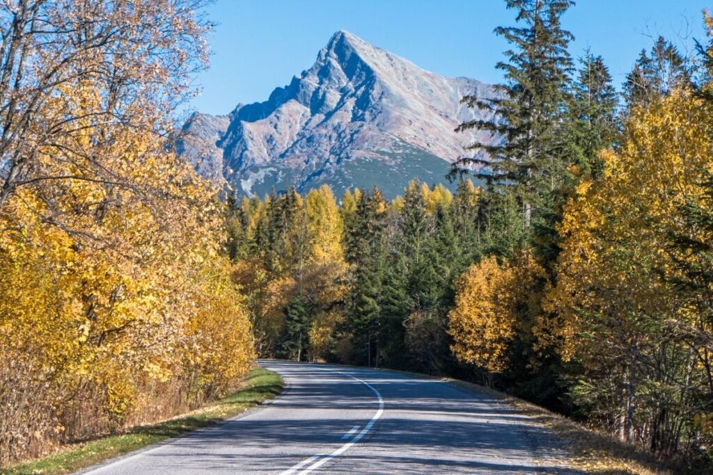 Droga pod Krywań w Tatrach Słowackich - widok jesienią