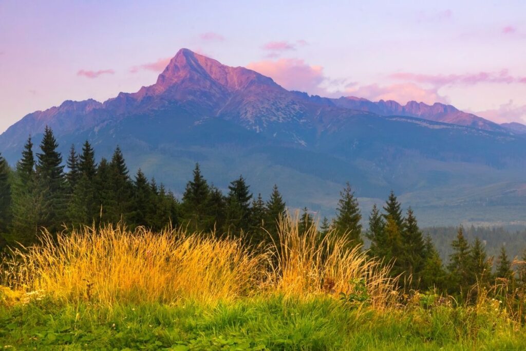 Szlak na Krywań - praktyczny poradnik i transport z Zakopanego